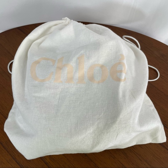 Chloe Suede Hayley Nano Bag Caramel - Picture 16 of 16